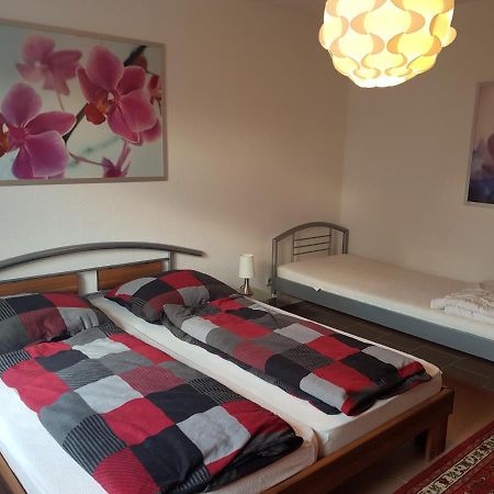Nicoles Niedschloesschen Apartment Rehlingen-Siersburg Ngoại thất bức ảnh